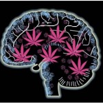 cannabis e schizofrenia1