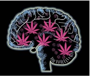 cannabis e schizofrenia1